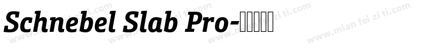Schnebel Slab Pro字体转换